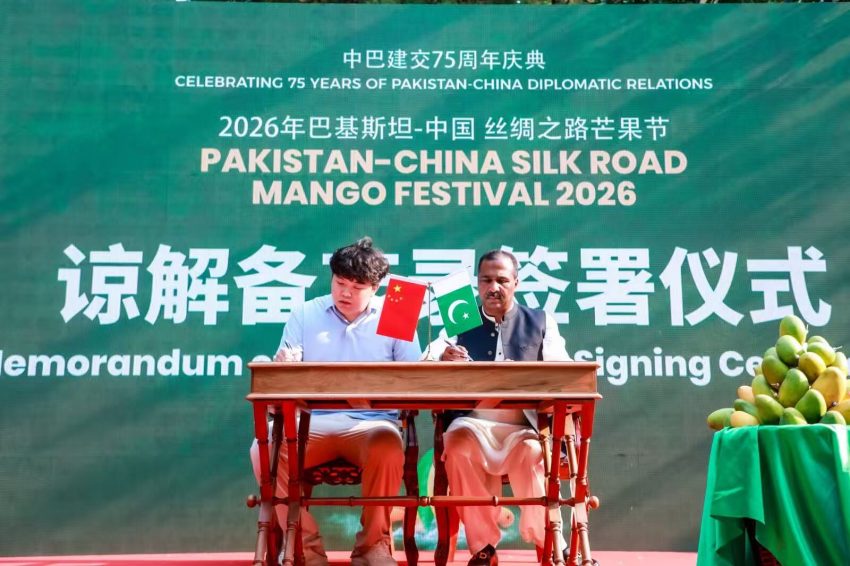 Mango Festival In Beijing Marks 75 Years Of Pakistan China Ties 