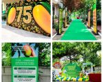 Mango Festival In Beijing Marks 75 Years Of Pakistan China Ties