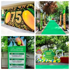 Mango Festival In Beijing Marks 75 Years Of Pakistan China Ties