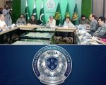No Peca Against Journalists Let Press Council Decide Senate Panel Tells Nccia
