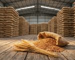 Over 5million Tons Of Wheat Missing In Punjab Sindh As Govt Weighs 1bn Import Plan