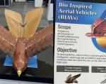 Pakistans New Bird Spy Drone To Take Surveillance Technology To Next Level