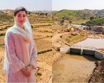 Punjab Eyes 800 Mini Dams In 3 Year Plan To Combat Water Scarcity