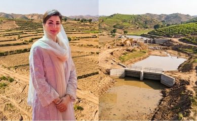 Punjab Eyes 800 Mini Dams In 3 Year Plan To Combat Water Scarcity