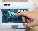 Punjab Launches First Portable X Ray Service For Wildlife Treatment