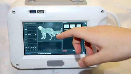 Punjab Launches First Portable X Ray Service For Wildlife Treatment