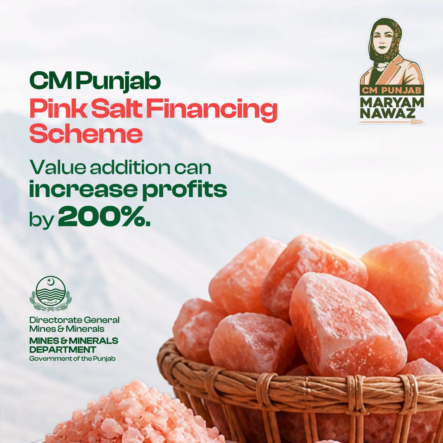 Rs50 Million Interest Free Loans Announced As Punjab Bets Big On Pink Salt Exports 