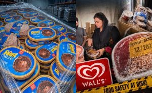 3000kg Fungus Infested Walls Ice Cream Seized From Lahore Store
