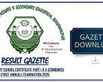 Bahawalpur Board Matric Class 10 Gazette 2026 Pdf Download