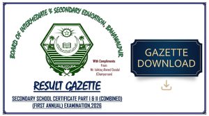 Bahawalpur Board Matric Class 10 Gazette 2026 Pdf Download