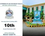 Bise Abbottabad Class 10 Matric Gazette 2026 Download Pdf