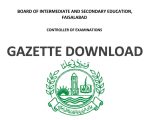 Bise Faisalabad Matric Class 10 Gazette 2026 Pdf Download