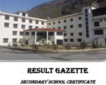 Bise Swat Class 9 Results 2026 Gazette Pdf Download
