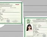 Nadra Issues Latest Guidelines For Parents Apply For B Form