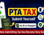 Pay Pta Taxes In Few Steps Complete 2026 Guide