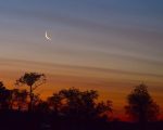 Rabi Ul Awwal 2026 Ruet Body Meet On Thursday For Moon Sighting