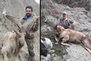 Rs5 5 Crore Starting Bid For Markhor Hunt As Gb Announces 2026 Auction