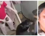 Video Of Two Women Fighting At Karachi Apartment Goes Viral