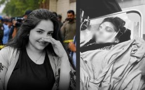 Who Murdered Tiktoker Ayesha Shamsoo