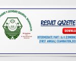 Bise Bahawalpur Class 12 Gazette 2026 Pdf Download