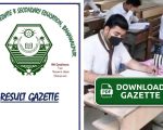 Bise Bahawalpur Class 9 Result Gazette 2026 Download