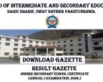 Bise Swat Class 11 12th Gazette Download Pdf