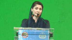 Maryam Nawaz Says She Is Accountable To People Not Youtubers