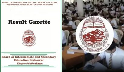 Peshawar Board Inter Class 11 Gazette Download Online Results