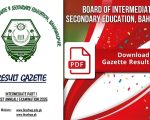 Bise Bahawalpur 11th Class Result Gazette 2026 Pdf Download Check 1st Year Results Online
