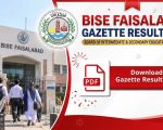 Bise Faisalabad 11th Class Result Gazette 2026 Pdf Download