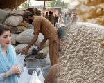 Cm Maryam Nawaz Approves Rs10 Billion Subsidy As Flour Price Hits Rs5200 Per 40kg