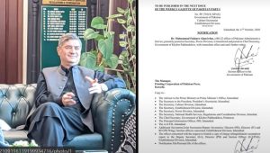 Dr Fakhar Alam Irfan Named New Chief Secretary As Kp Placed Under Emergency