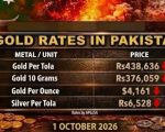 Gold Rates Slip To Rs438636 After 3k Dip Full Price List