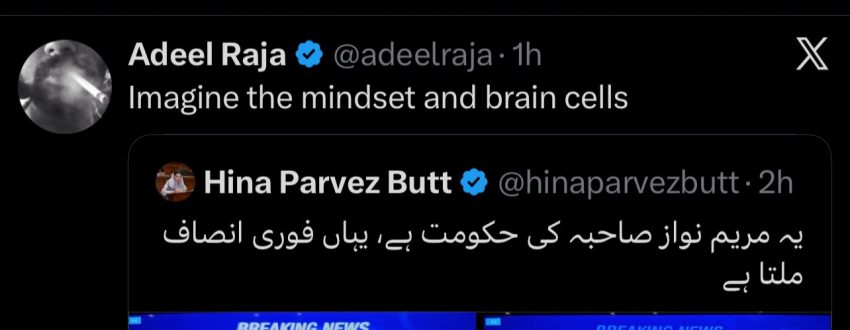Instant Justice Or Extrajudicial Killing Hina Parvez Butt Faces Heat For Celebrating Multan Ccd Encounter