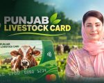 Livestock Card Phase Ii Punjab Farmers To Get Rs16 Billion In Interest Free Loans