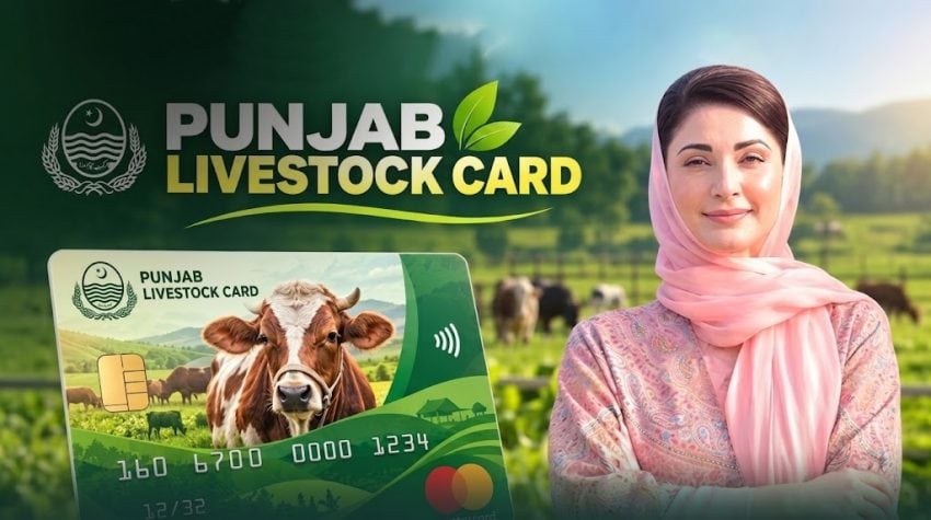 Livestock Card Phase Ii Punjab Farmers To Get Rs16 Billion In Interest Free Loans