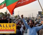 Over 50 Back Pti Governments Performance In Kp Gallup Survey Finds