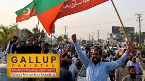 Over 50 Back Pti Governments Performance In Kp Gallup Survey Finds
