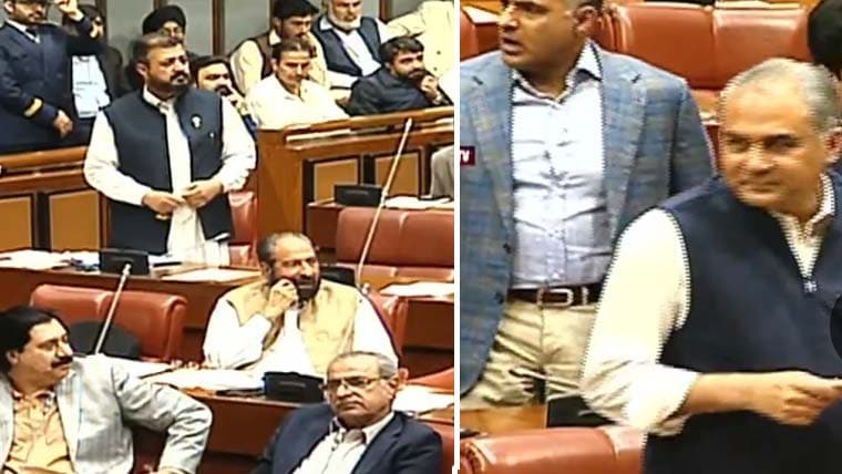 Senate Turns Stormy As Mohsin Naqvi Jui F Senator And Abid Sher Ali Trade Barbs